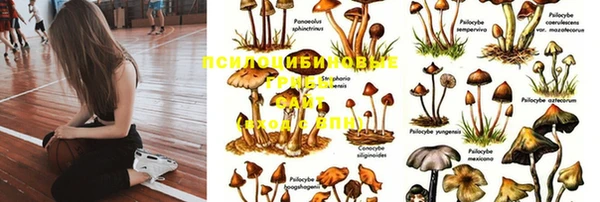 прущий лед Балабаново